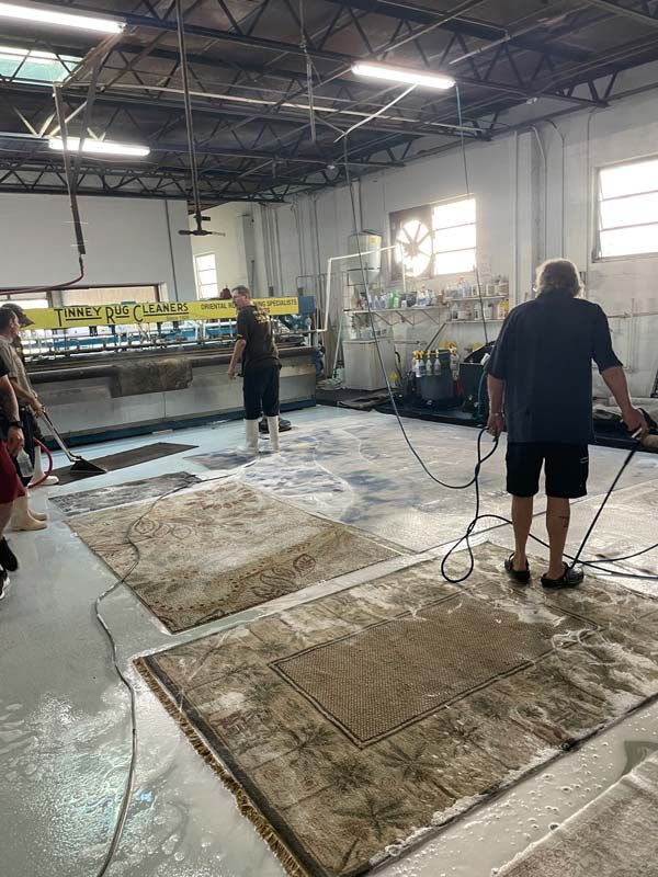 Area Rug Cleaning in St. Pete Beach, FL